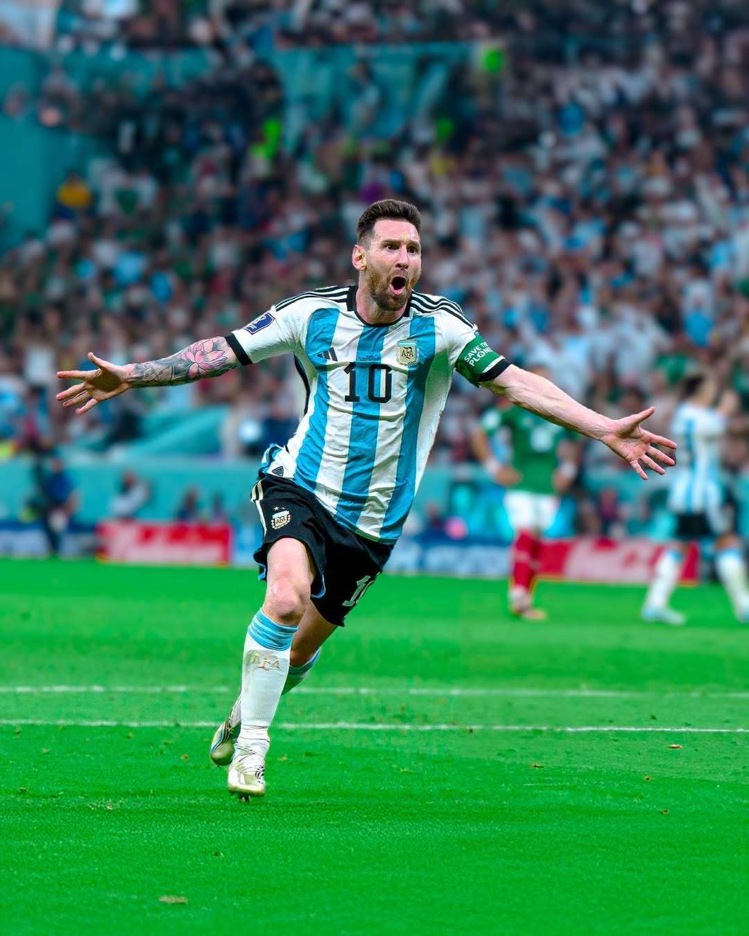 探讨法兰克 探讨法兰克