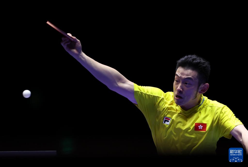 莱沃库森肩 莱沃库森肩