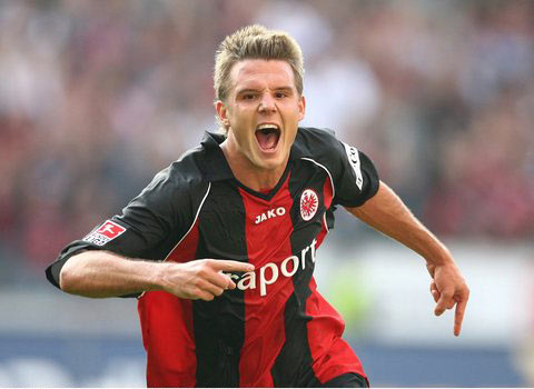 迷预示了新 迷预示了新