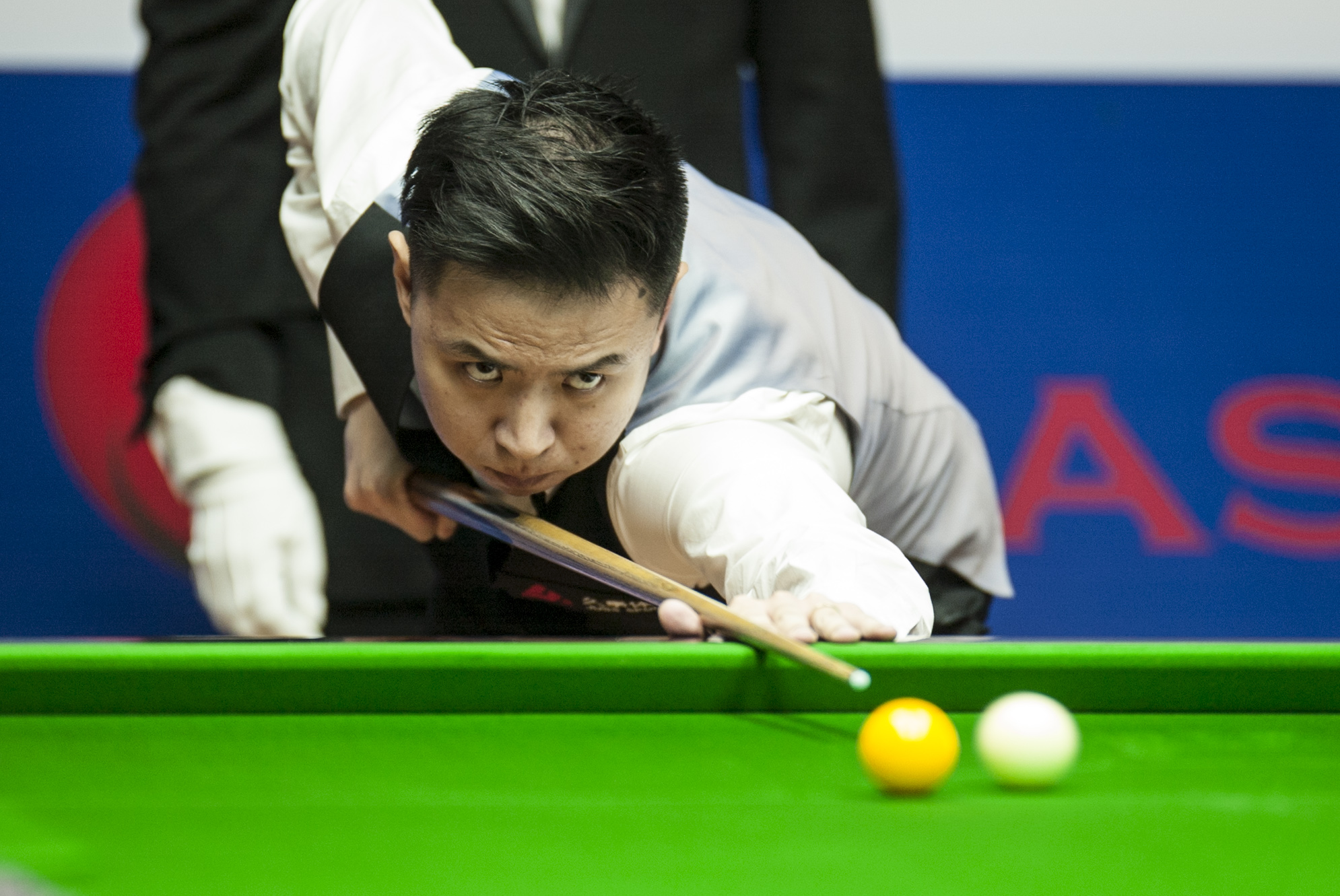 维奇的支持 维奇的支持